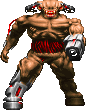 Cybr Doom Character