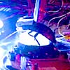 Cockroach-Controlled Mobile Robot