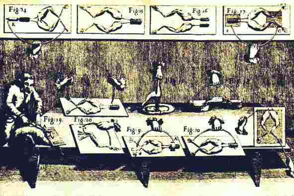 Figure 7. Etching of Galvani's experiments in animal electricity.