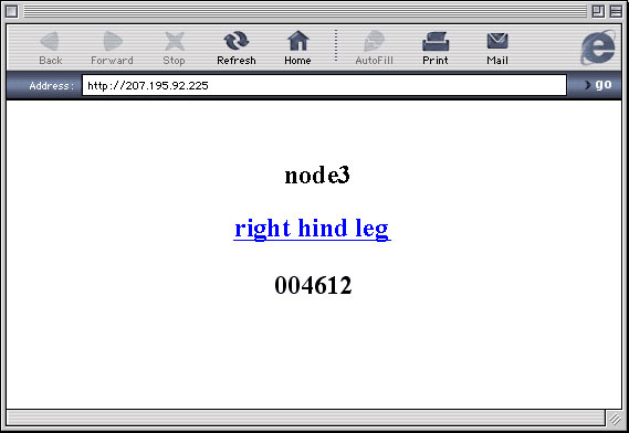 Figure 3. Implanted web content from a single node, actually stored on a microprocessor within the mouse body.  Clicking on the "right hind leg" link makes the hind leg of the mouse physically twitch. The processor also collects and displays access data.